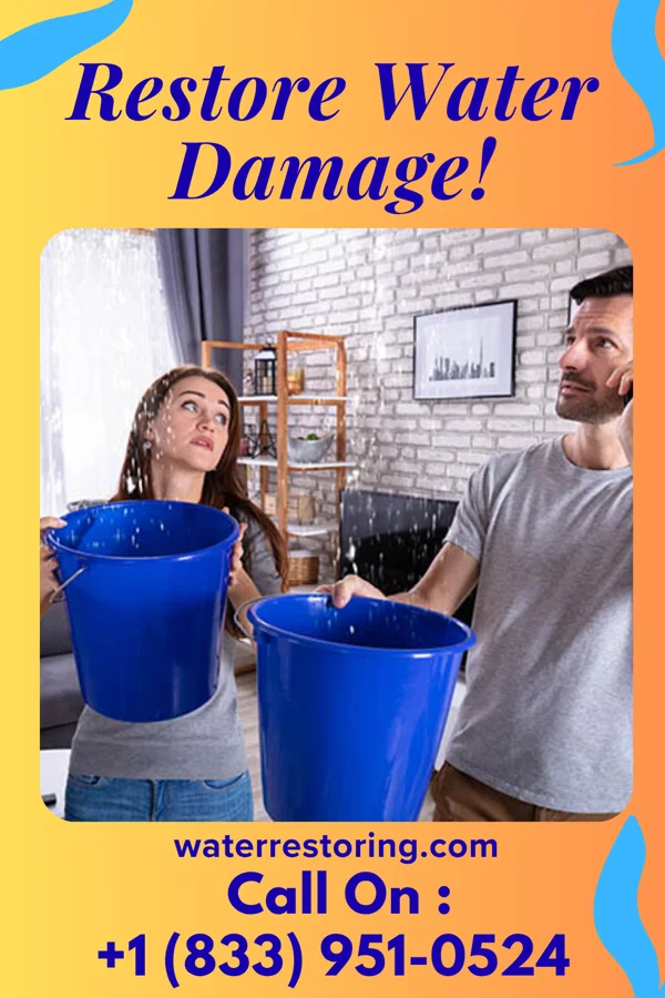 water restoration Capital Mitigation Services Kratzerville