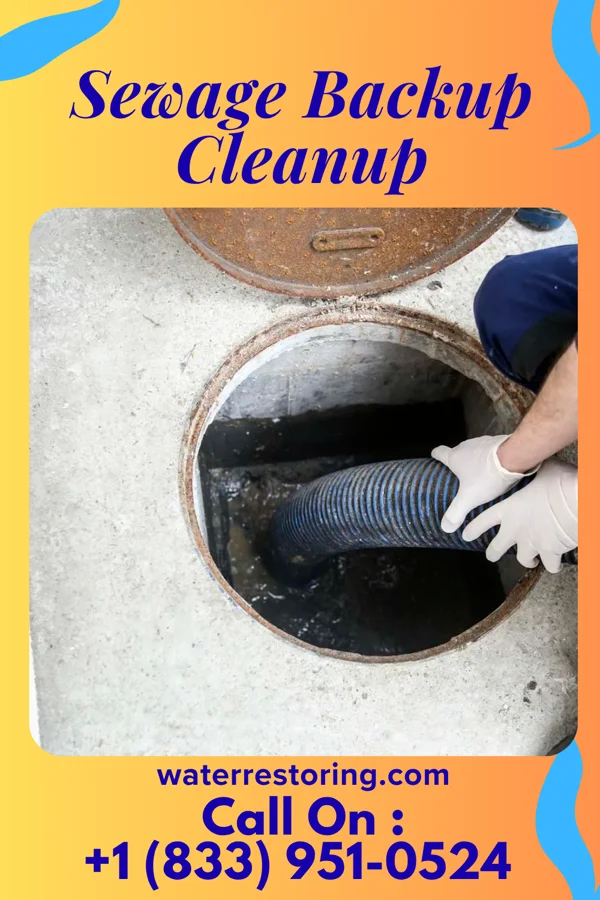 Sewage Backup Cleanup in Kratzerville, PA