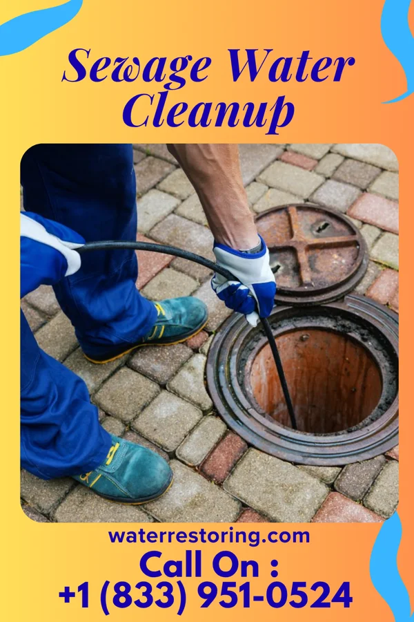Sewage Water Cleanup in Kratzerville, PA