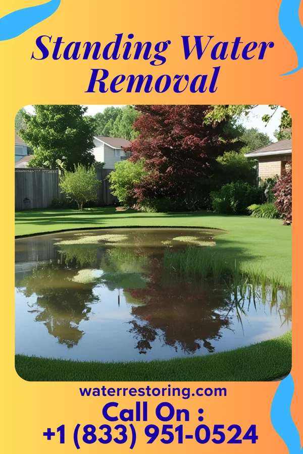 Standing Water Removal in Kratzerville, PA